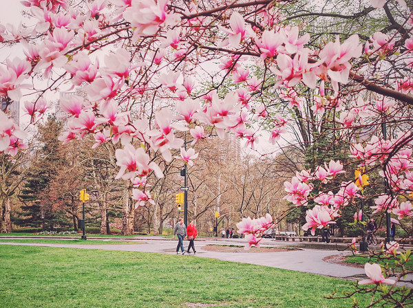 Central Park na Primavera.