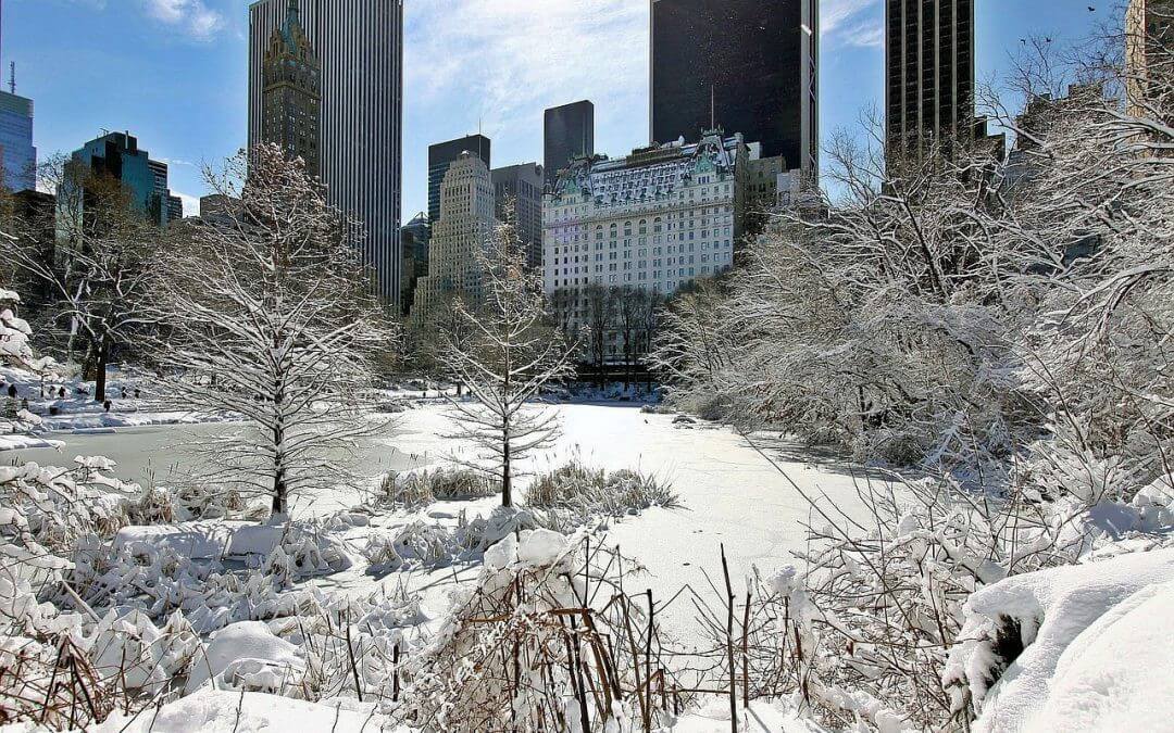 Central Park no Inverno - Baixa Temperatura em Nova York.