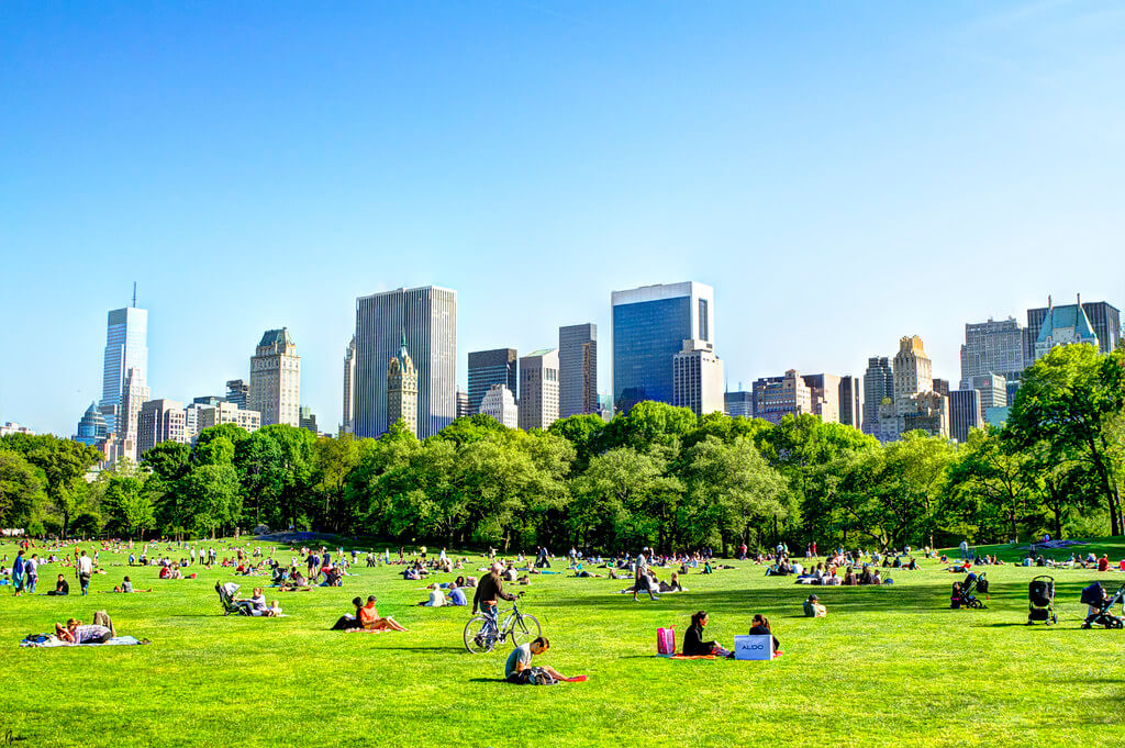 Central Park no Verão - Boa Temperatura em Nova York.
